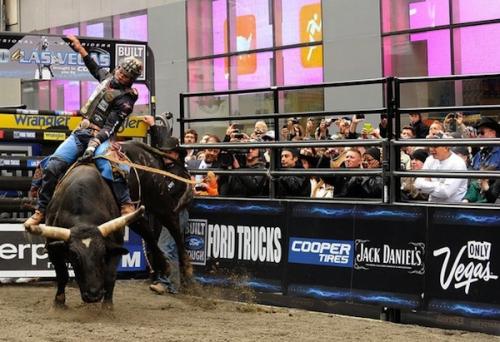 В центре Нью-Йорка устроили родео