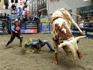 В центре Нью-Йорка устроили родео