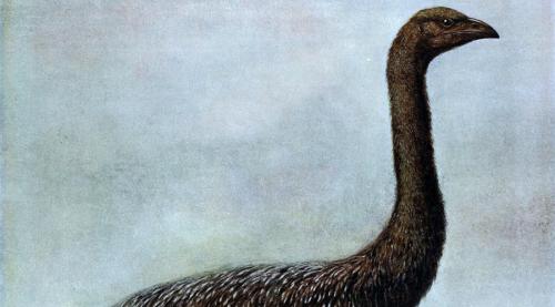 10 древних животных, которых могут вернуть к жизни