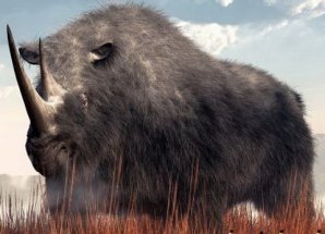 10 древних животных, которых могут вернуть к жизни