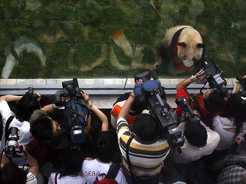 Олимпийские приколы