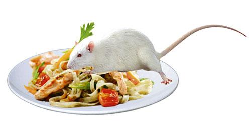 Олимпийские приколы