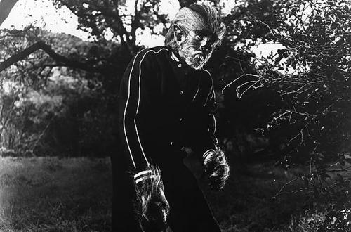 Оборотни в кино