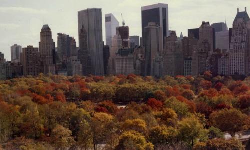 Знаменитости и не только в объективе Рут Оркин