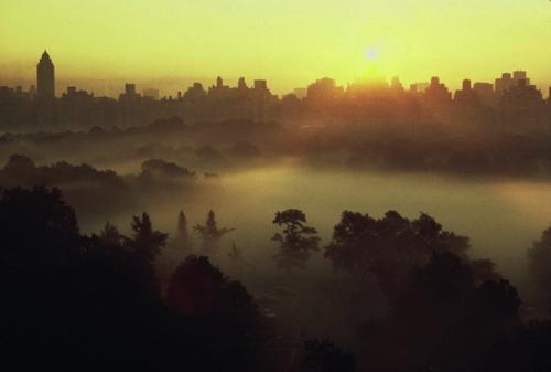 Знаменитости и не только в объективе Рут Оркин
