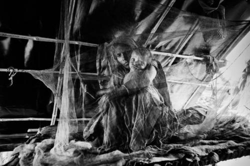 Лучшие фото Sony World Photography Awards