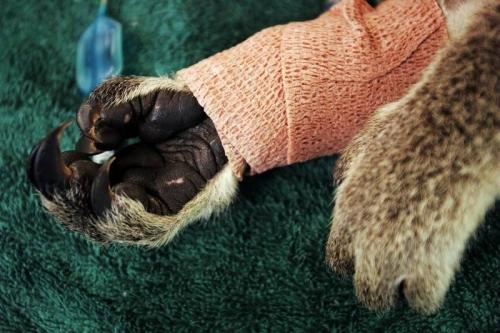 Лучшие фото Sony World Photography Awards