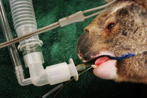 Лучшие фото Sony World Photography Awards