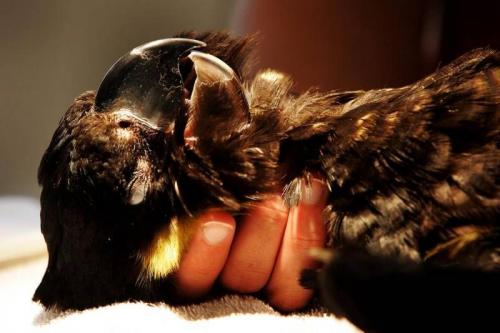 Лучшие фото Sony World Photography Awards