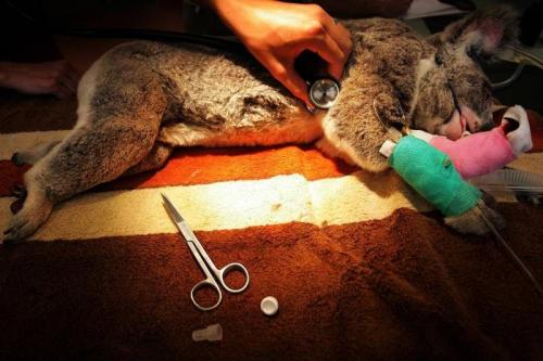 Лучшие фото Sony World Photography Awards