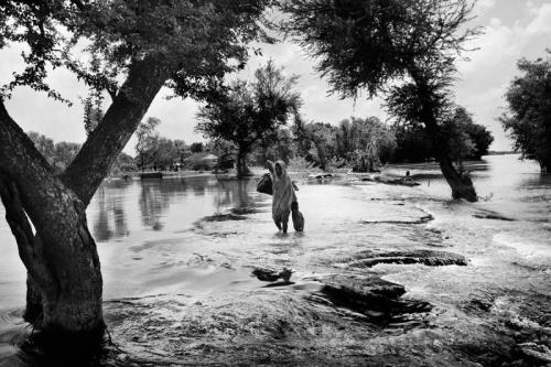 Лучшие фото Sony World Photography Awards