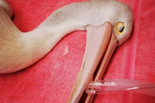 Лучшие фото Sony World Photography Awards