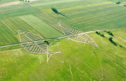 Самые необычные границы, которые наглядно демонстрируют политику государств