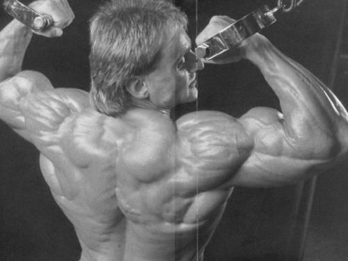 Знаменитые спортсмены, умершие на пике карьеры