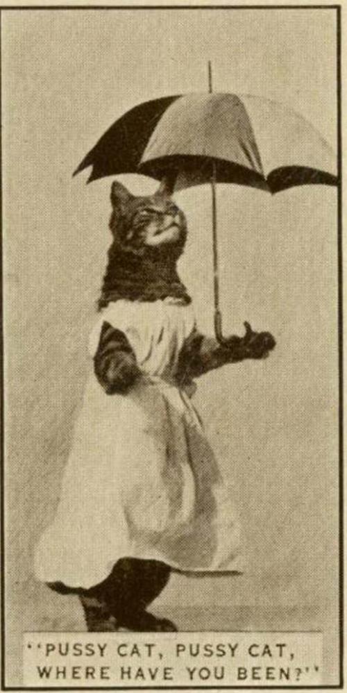 Исторические фотографии,которых вы не увидите в учебниках истории