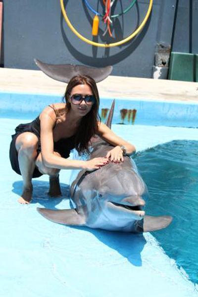 Последние фотографии звезд из Твиттеров