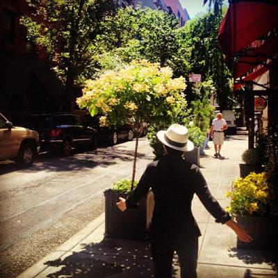 Последние фотографии звезд из Твиттеров