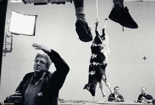 Уникальные кадры со съемочных площадок знаменитых голливудских фильмов