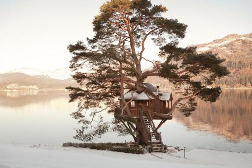 Самые подходящие места для женитьбы