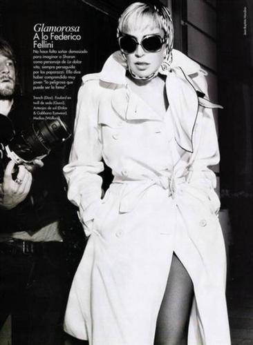 Шэрон Стоун  снялась одновременно у пяти великих режиссёров