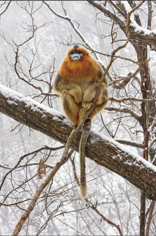 Лучшие фотографии природы за 2008 год