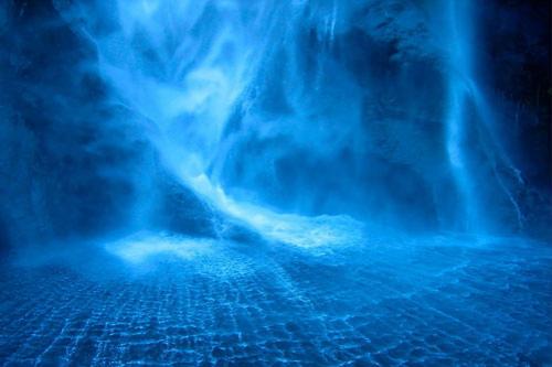 Лучшие фотографии природы за 2008 год