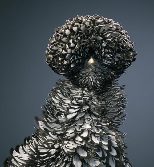 Портреты исчезающих птиц