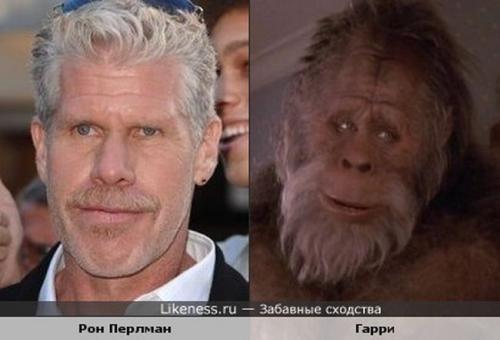 Знаменитости похожие друг на друга