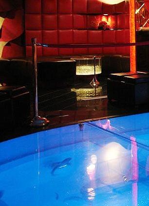 В Техасе открылся бар с акулами