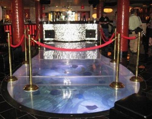 В Техасе открылся бар с акулами