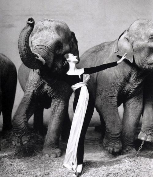 17 культовых моделей, которые изменили мир моды своим появлением