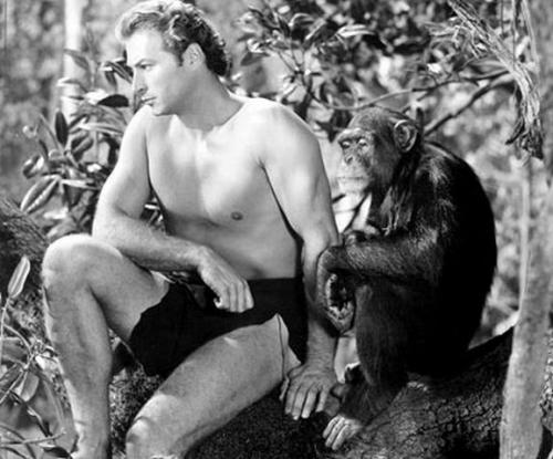 Звезды, серьезно занимавшиеся профессиональным спортом