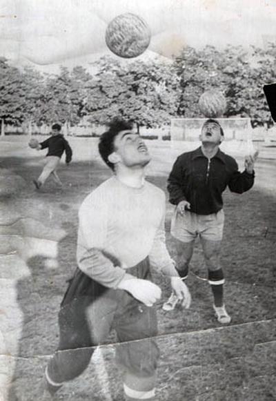 Звезды, серьезно занимавшиеся профессиональным спортом