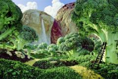 Невероятные картины из овощей Карла Уорнера