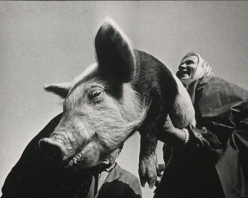 Самые дорогостоящие советские фотографии