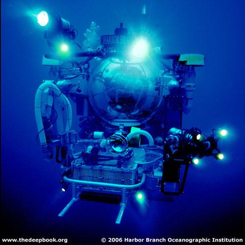 Глубоководные монстры мирового океана