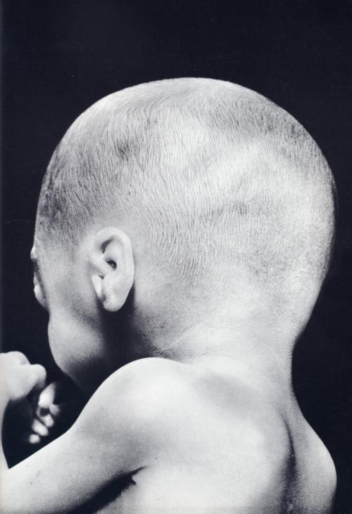 Зарождение жизни: уникальные съемки из материнской утробы