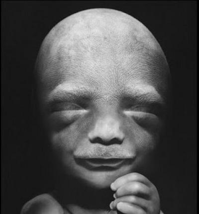 Зарождение жизни: уникальные съемки из материнской утробы