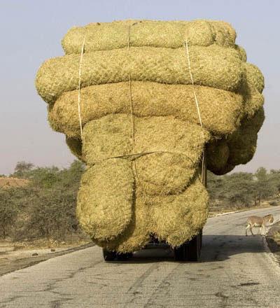 Транспортные чудеса стран мира