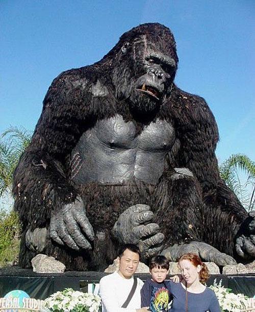 Фантастическое путешествие по "Фабрике грёз"