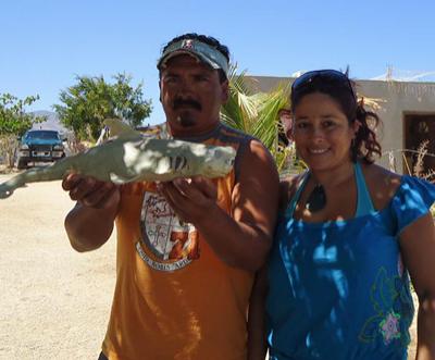 В Мексике нашли одноглазую акулу