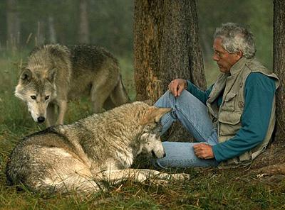 Зов предков: 6 лет с волками