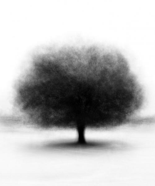 Лучшие работы конкурса MonoVisions Photography Awards 2019