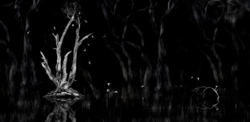 Лучшие работы конкурса MonoVisions Photography Awards 2019