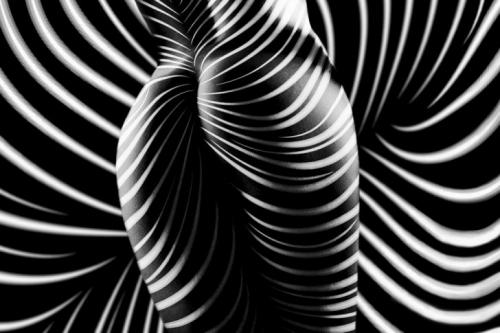 Лучшие работы конкурса MonoVisions Photography Awards 2019