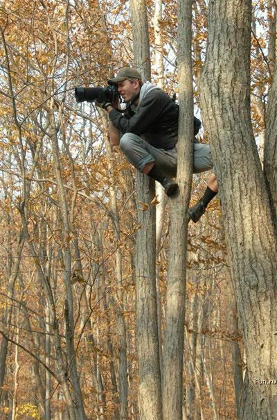 Избитые папарацци — как жертвы выходят из себя