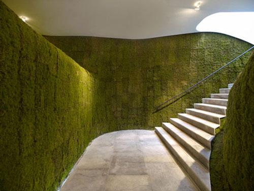 В Сеуле открылся «Зеленый магазин»