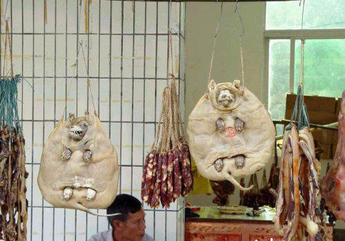 Копченые собачки. Что подают в нелегальных  ресторанах…