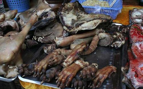 Копченые собачки. Что подают в нелегальных  ресторанах…