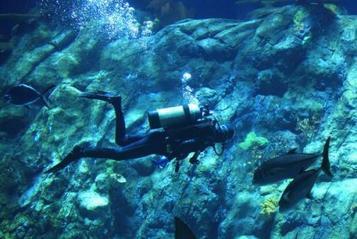 В Гонконге открылся крупнейший аквариум планеты